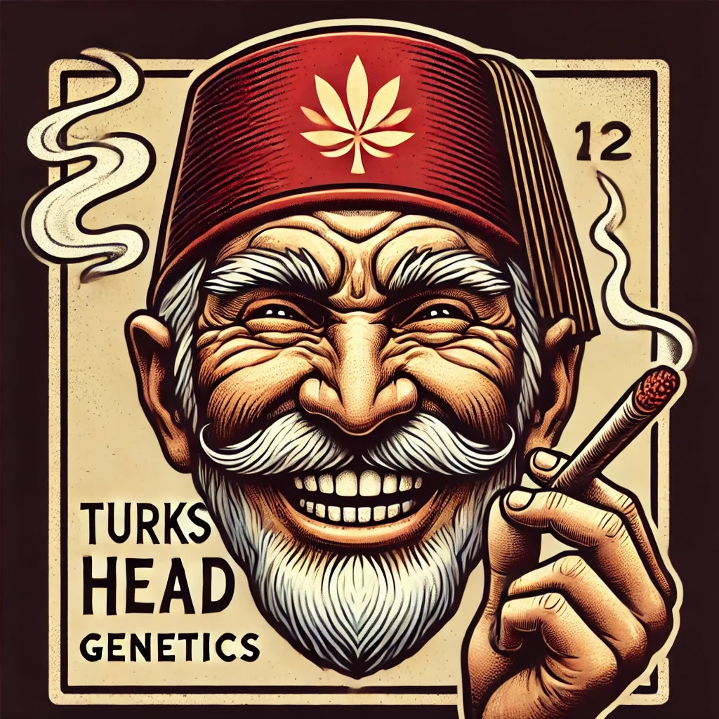 logo4