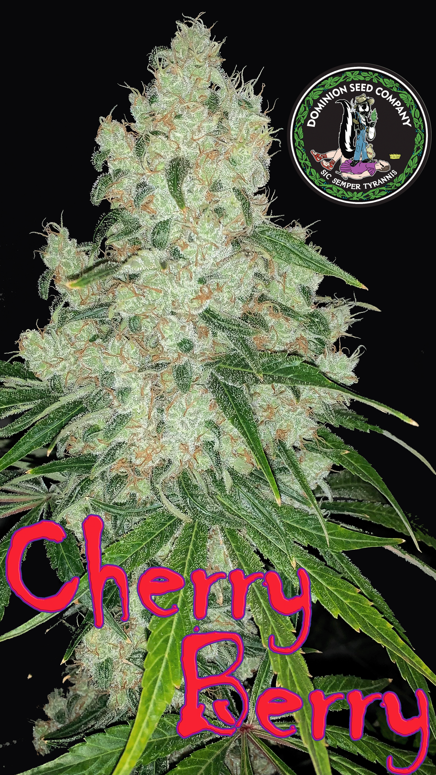 cherry berry small file